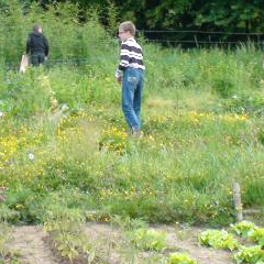Horticulture